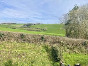 Photo 11- click for photo gallery